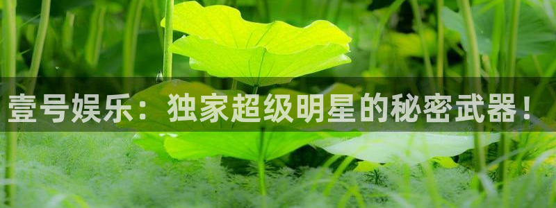 星亿娱乐现在优惠多少：壹号娱乐：独家超级明星的秘密武器！