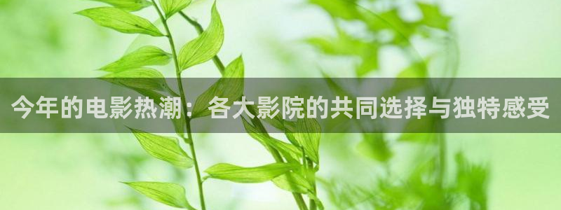 星亿娱乐平台注册入口：今年的电影热潮：各大影院的共同选择与独特感受
