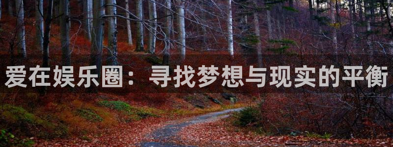 星亿娱乐4开户：爱在娱乐圈：寻找梦想与现实的平衡