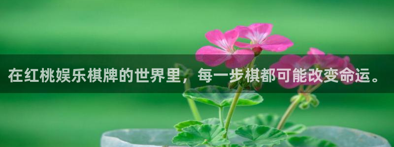 星亿娱乐平台官网登录入口：在红桃娱乐棋牌的世界里，每一步棋都可能改变命运。