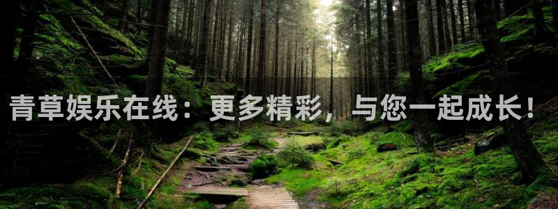 星亿娱乐电玩网官网入口：青草娱乐在线：更多精彩，与您一起成长！