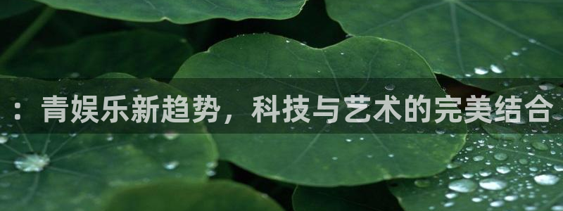 星亿娱乐分红代理计划：：青娱乐新趋势，科技与艺术的完美结合