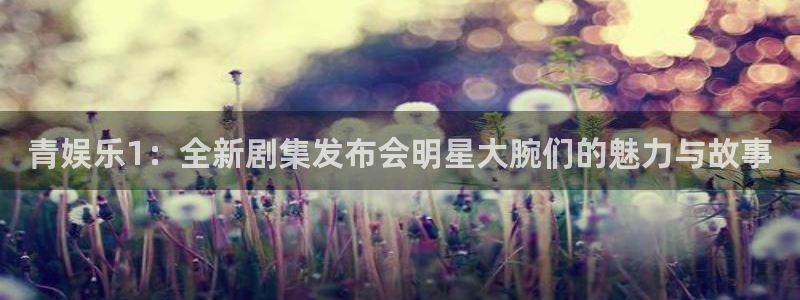 星亿娱乐3登录：青娱乐1：全新剧集发布会明星大腕们的魅力与故事