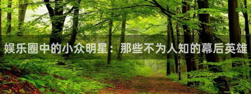 pg星亿娱乐平台下载入口：娱乐圈中的小众明星：那些不为人知的幕后英雄