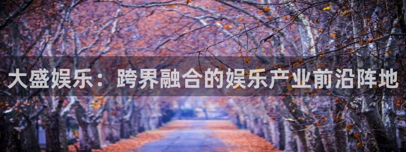 星亿娱乐软件：大盛娱乐：跨界融合的娱乐产业前沿阵地
