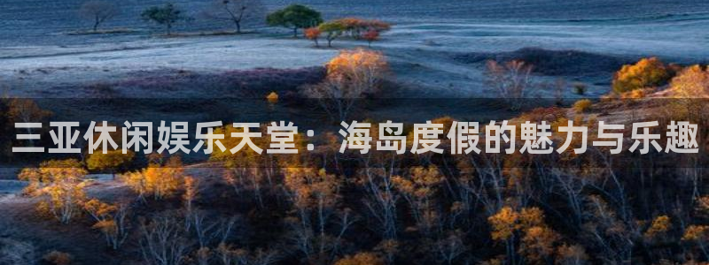 星亿娱乐登陆：三亚休闲娱乐天堂：海岛度假的魅力与乐趣
