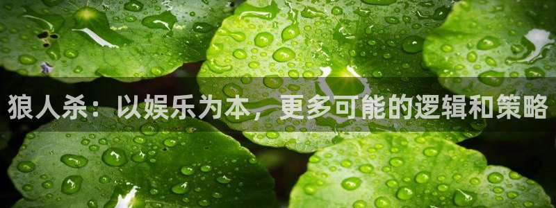 星亿娱乐登录网：狼人杀：以娱乐为本，更多可能的逻辑和策略