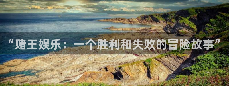 星亿娱乐加拿大在线预测：“赌王娱乐：一个胜利和失败的冒险故事”