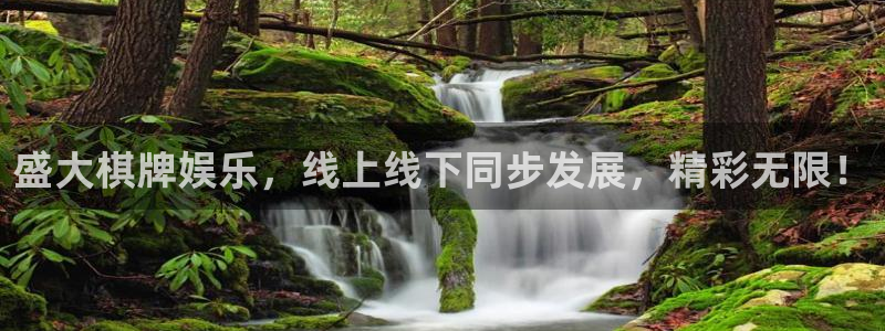 星亿娱乐平台注册：盛大棋牌娱乐，线上线下同步发展，精彩无限！