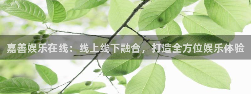 星亿娱乐体育娱乐注册链接：嘉善娱乐在线：线上线下融合，打造全方位娱乐体验