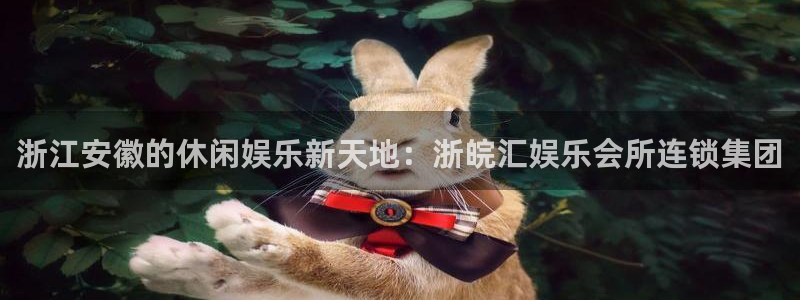 星亿娱乐体育f开号：浙江安徽的休闲娱乐新天地：浙皖汇娱乐会所连锁集团