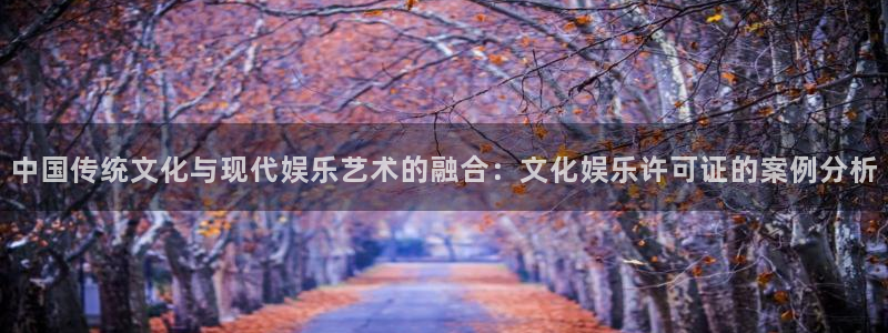 星亿娱乐3注册：中国传统文化与现代娱乐艺术的融合：文化娱乐许可证的案例分析
