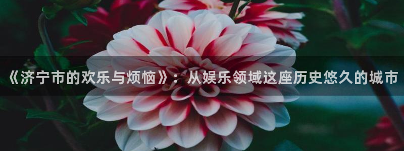 星亿娱乐零能源集团：《济宁市的欢乐与烦恼》：从娱乐领域这座历史悠久的城市
