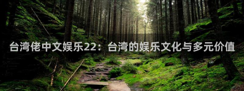 星亿娱乐pg：台湾佬中文娱乐22：台湾的娱乐文化与多元价值
