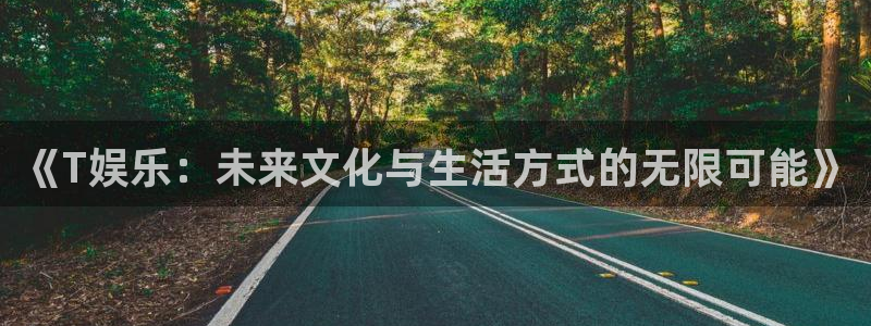 星亿娱乐3：《T娱乐：未来文化与生活方式的无限可能》