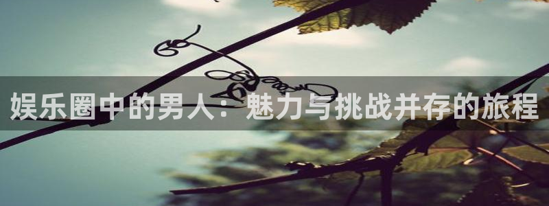 星亿娱乐体育2官网入口：娱乐圈中的男人：魅力与挑战并存的旅程
